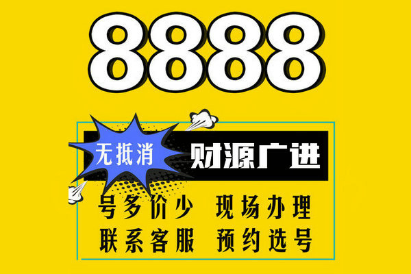 巨野尾號888吉祥號