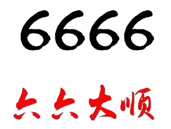 定陶尾號(hào)666吉祥號(hào)