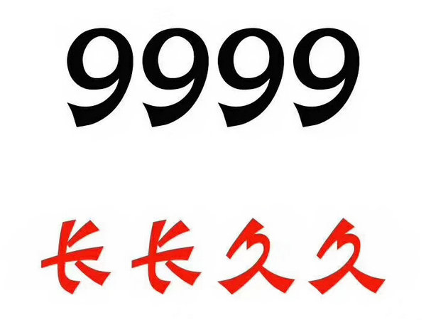 定陶尾號999吉祥號